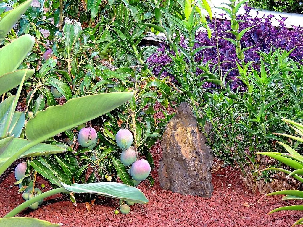 Prázdninový dům Vila Casa Mar Y Teide Sauzal